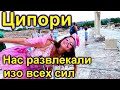 662.Поехали в Ципори! Израиль .Наконец поездка!