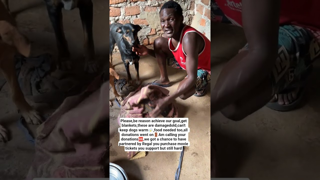 Study Tips Study Motivation Productivity Education Studytips Tips Sinhala Lk - YouTube Auto PHP Script