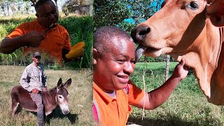 La vida del campo en el fundo del canal Donde vivia Atabiano, Part 2