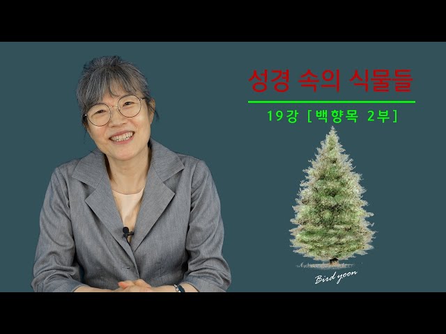 19강 - '성경 속의 식물들'에 감추어진 의미들 [백향목 2부] / 남은순의 요벨 TV class=