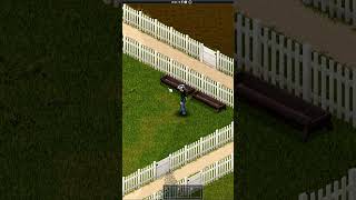 COMO CUIDAR DE GALINHAS 🐔 | Dica rápida Project Zomboid