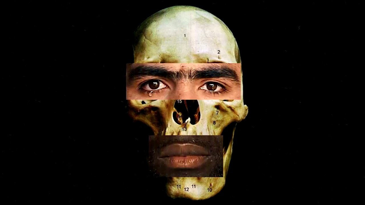 human - YouTube