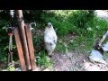 When Marmots Attack: Pacific Northwest Trail