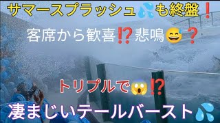 【いよいよ終盤になって来ました❗サマースプラッシュ💦】鴨川シーワールド✨前から5列目の席で水浴びたっぷりしました😅orca