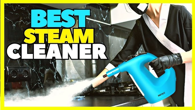 9 Of The Best Handheld Portable Steam Cleaners 2022