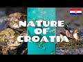 DISCOVER CROATIA: Nature of Croatia
