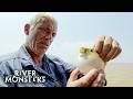 This PUFFERFISH Looks Cute but Bites Like a PIRANHA! | River Monsters