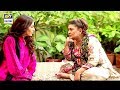 Watch Chandni Begum ne kabhi haar nahi mani Online In Hd