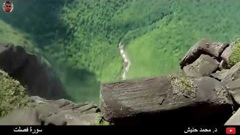 سورة فصلت للقارئ محمد حنيش