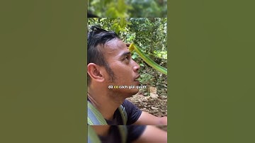 Bị rắn cắn trong lúc đi rừng 🐍😲 #shorts