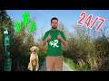 I tried full-time dog walking on Rover for 3 months. Shocking earnings!