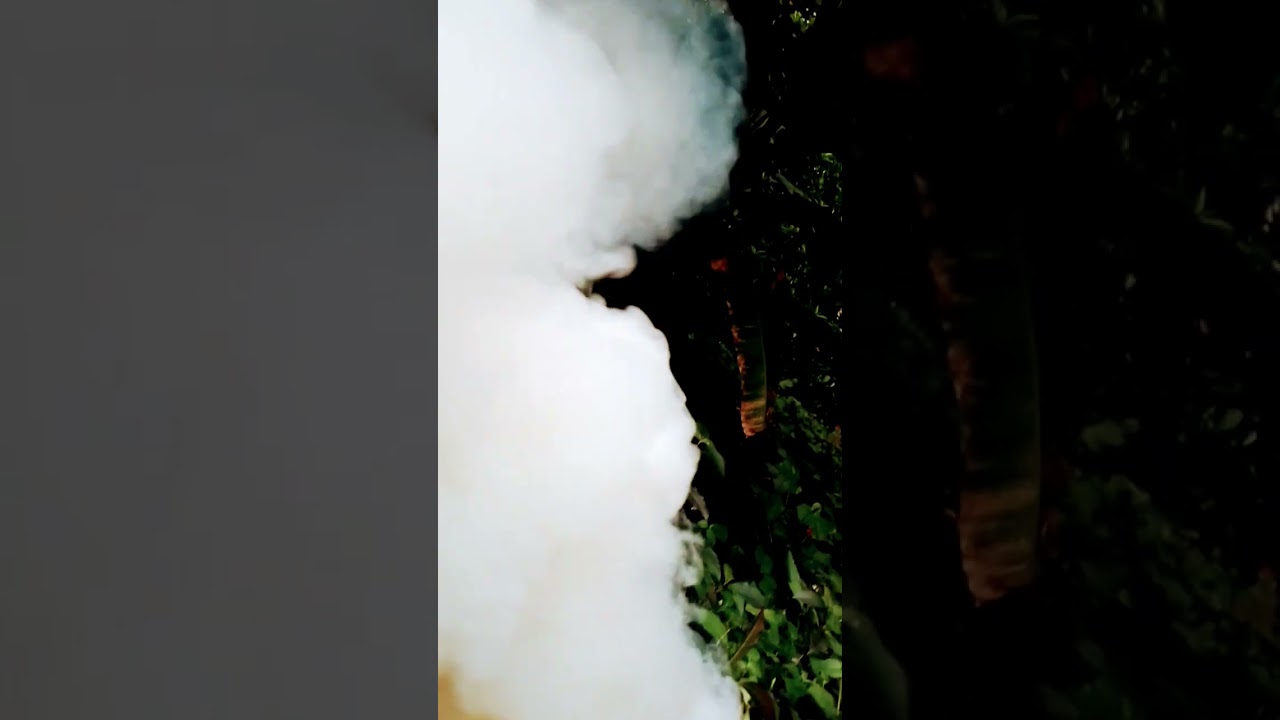 Omg Smoke Shop Near Me