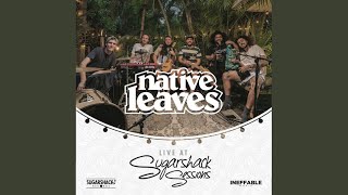 Lemonade Stand - Live at Sugarshack Sessions