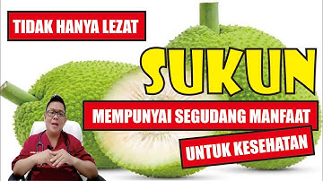 FAKTA DAN MANFAAT SUKUN UNTUK KESEHATAN