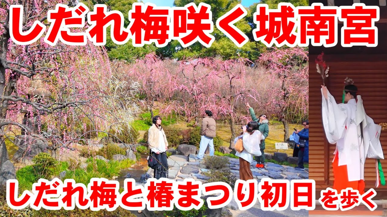 2/18(水)しだれ梅咲く城南宮「しだれ梅と椿まつり」初日の城南宮神苑平安の庭と梅の枝神楽