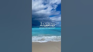 أفلا : يتوبون إلى الله ويستغفرونه والله غفور رحيم | سورة المائدة القارئ عبد الرحمن مسعد