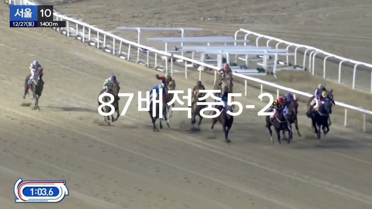 87배적중5-2   01055876275