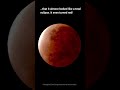Nov 18/19, 2021: &quot;Almost&quot; total lunar eclipse #shorts