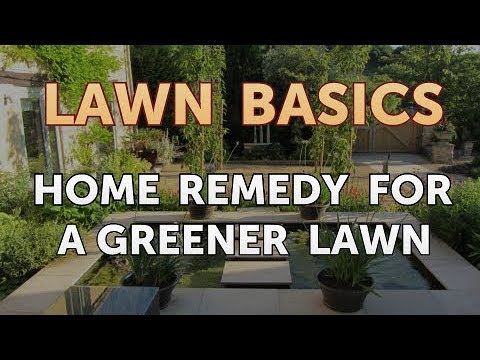 Home Remedy for a Greener Lawn