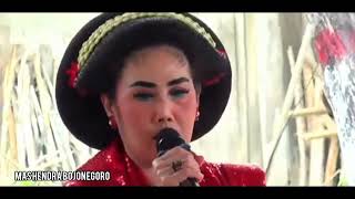 Download Lagu Tayub Tuban Terbaru: MBALUN VARIASI - WOLU WOLU IROMO  MP3