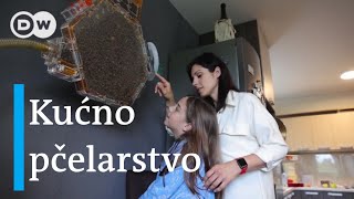 Srbija Držanje Pčela U Kući