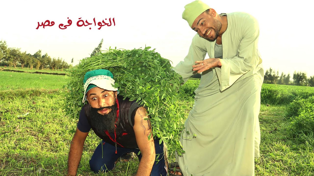 الخواجة بسيونى قلبة حمار وحمل علية بسبب الدولار