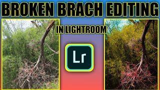 BROKEN BRANCH EDITING🔥🔥 | IN LIGHTROOM | JERRY EDITZ screenshot 4