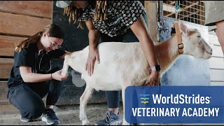 WorldStrides Veterinary Academy