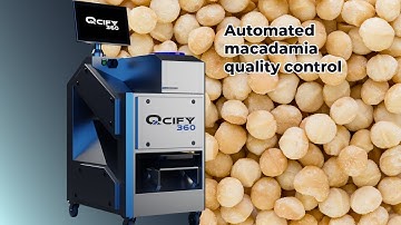Automated quality control with Qcify 360 -  Macadamias
