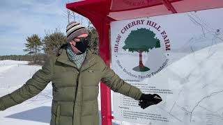 Winter Scavenger Hunt