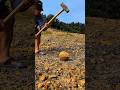 😱,‼️Amazing!!! At this former coal mine site, we found many geodes containing layers of crystals