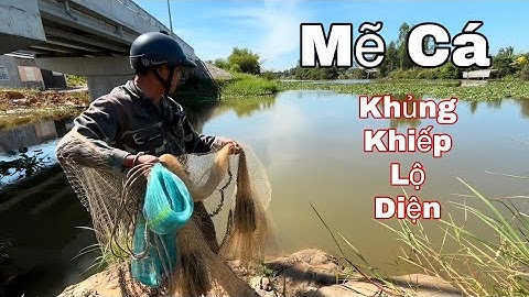 Chấn Động Mặt Nước: Một Pha Quăng Chài Dính Cá Khổng Lồ!