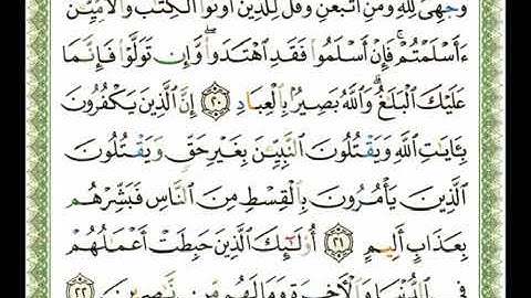 سورة آل عمران 3 - 114  شيرزاد عبد الرحمن طاهر - قراءة مرتلة