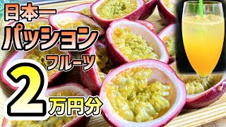 【パッションフルーツ】100％ジュースを日本一甘い奄美産パッションで作ってみた！