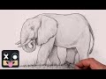 How to draw an african elephant  beginners sketch tutorial