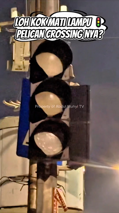 WHY ARE THE LIGHTS 🚦 OFF AT THIS PERSON'S CROSSING?! #trafficlight #redlight #trafficlight #roadc...