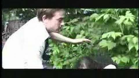 The New Pornographers - My Slow Descent