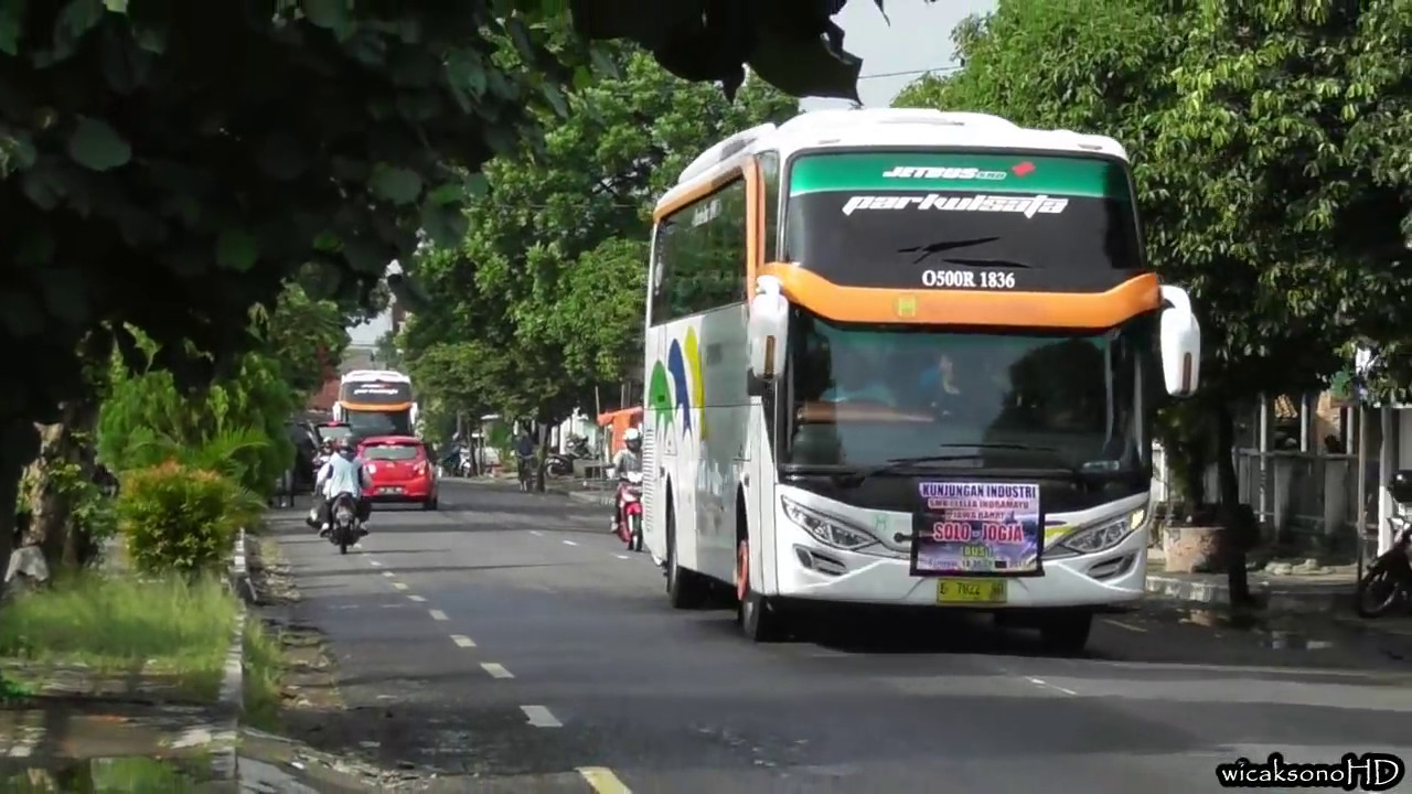 Ketika Rombongan Bus nabrakin ranting pohon  PO METROPOLITAN