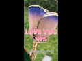 Love is the magic that draws us to each other. It's like gold meets roses, love for life.