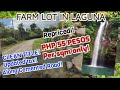 (PROPERTY #23 ) PHP 55 PESOS PER SQM -  WITH BATIS AND ACCESS TO WATERFALLS! FARM LOT IN LAGUNA!