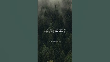 فَتَبَارَكَ اللَّهُ أَحْسَنُ الْخَالِقِينَ  | تلاوة جميلة بصوت ماهر المعيقلي ارح سمعك #ماهر_المعيقلي