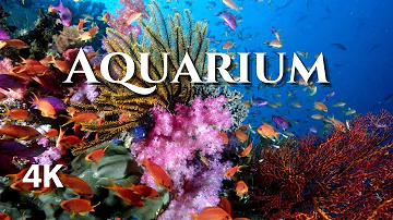 The Best 4K Aquarium for Relaxation 🐠, Sleep, Relax, Meditation Music | 2 hours | UHD Screensaver