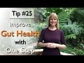 Improve Gut Health with One Step