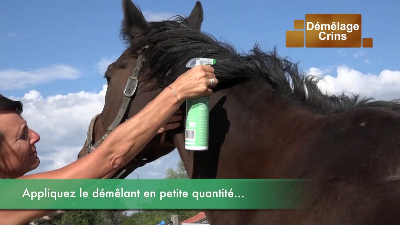 Demelant chevaux keratine proteines de soie - Equibao Divine Demelcare