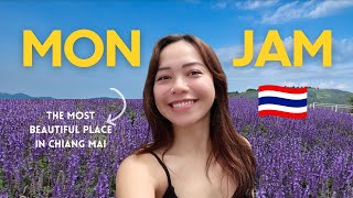 Glamping in Chiang Mai - MON JAM 🇹🇭 | Thailand Travel Vlog 2023