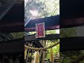 日本一の金運神社遠隔参拝✨なぜか大金が舞い込み始める #shorts