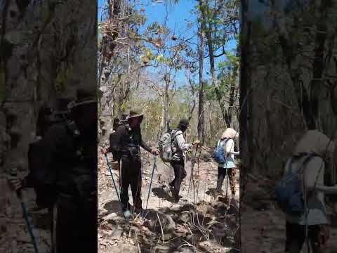 Video: Day Hiking Mountains - Mẹo Đi bộ Đường dài trong Ngày