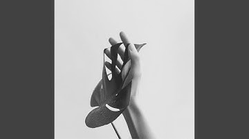 Pulsating Ambience for Restful Weekdays