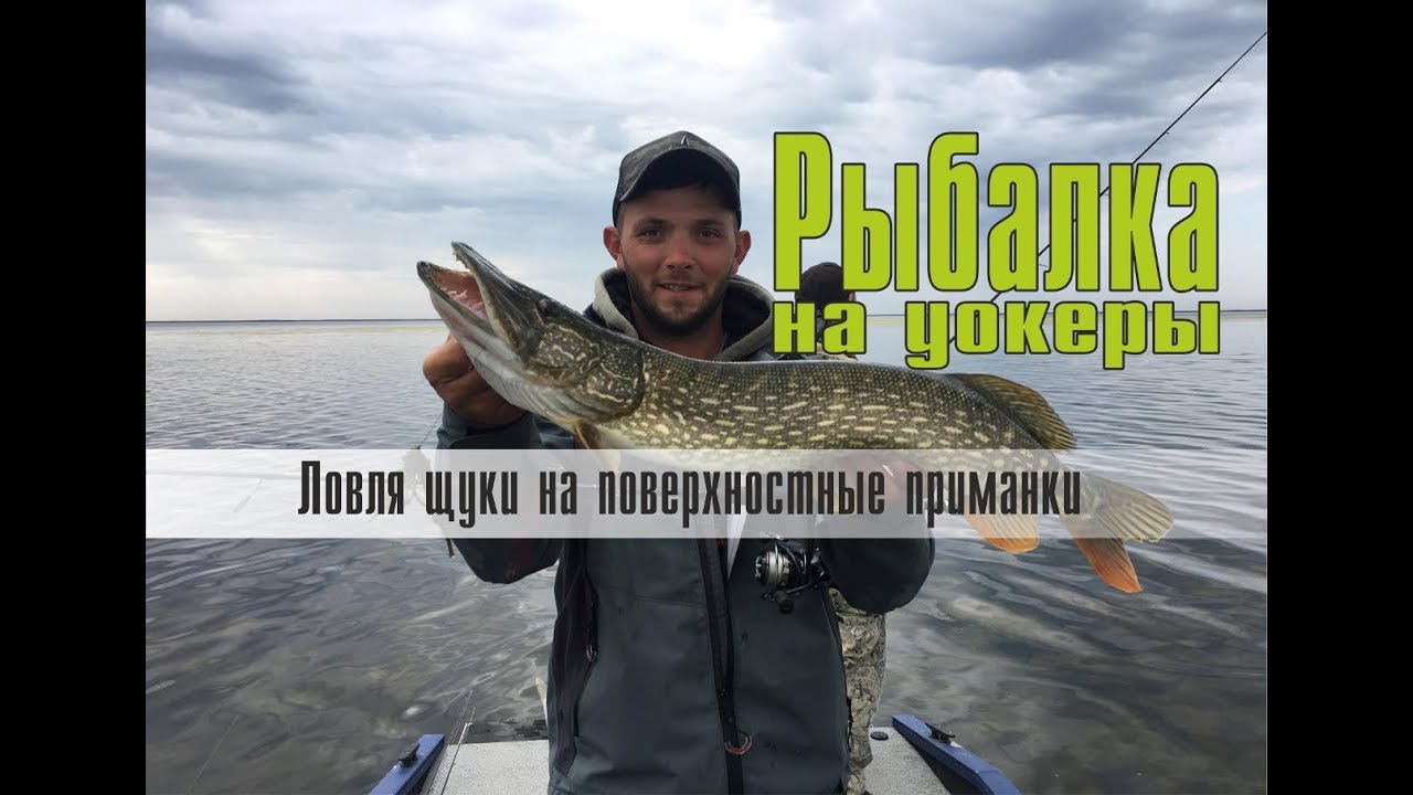 Ловцы ока рыбалка
