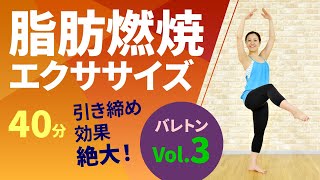 バレトンVol.3/岡田有里絵/ホームフィットネス24